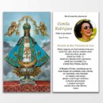 Our Lady of San Juan De Los Lagos Holy Card